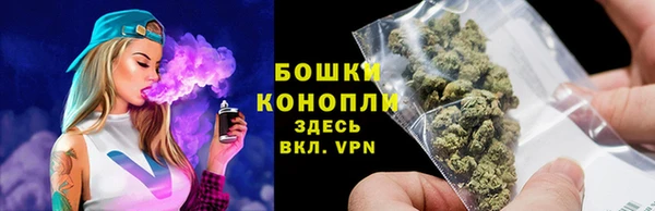 гидра Липки